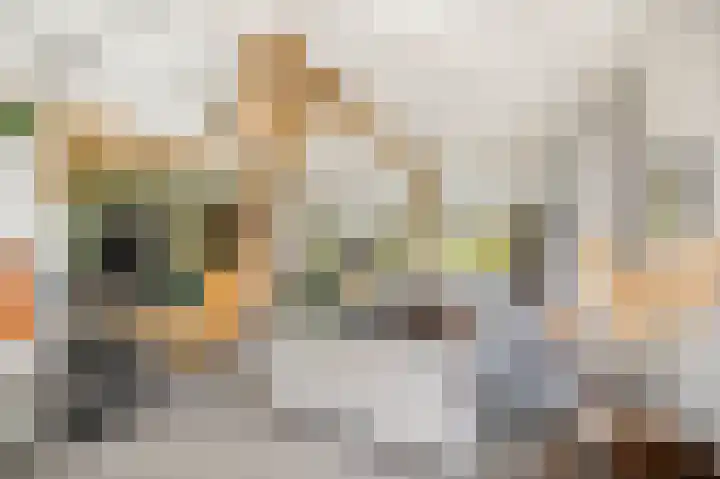 Hardermaat 12 Barchem thumbnail 33