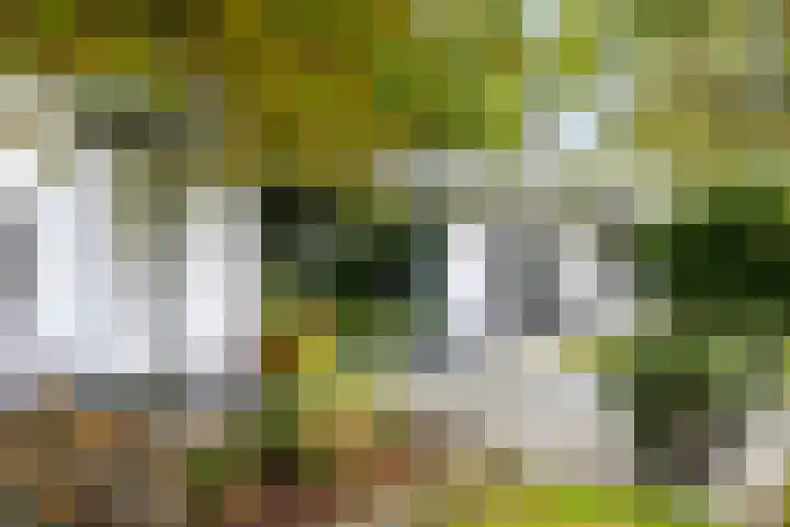 Hardermaat 12 Barchem thumbnail 37