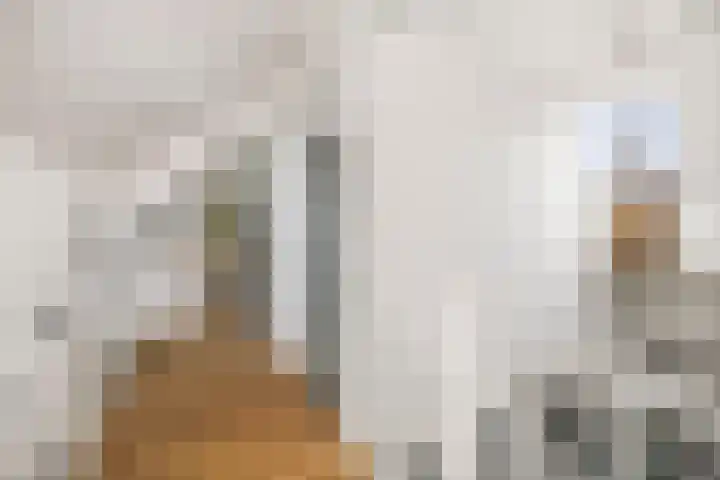 Hardermaat 12 Barchem thumbnail 41