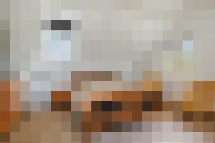 Hardermaat 12 Barchem thumbnail 43