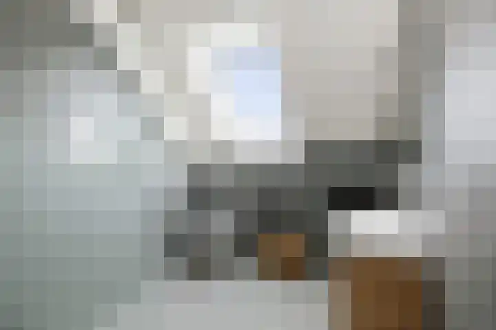 Hardermaat 12 Barchem thumbnail 47
