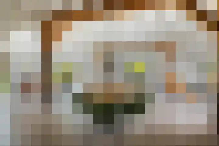 Hardermaat 12 Barchem thumbnail 5