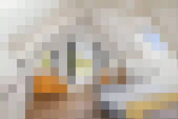 Hardermaat 12 Barchem thumbnail 50