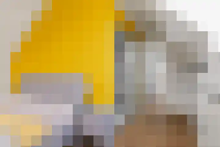 Hardermaat 12 Barchem thumbnail 52