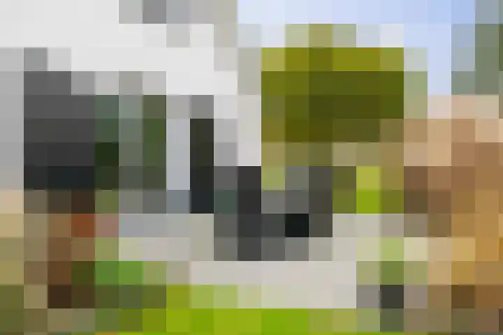 Hardermaat 12 Barchem thumbnail 55