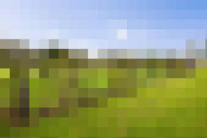 Hardermaat 12 Barchem thumbnail 68