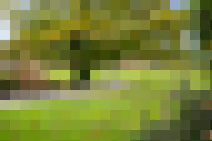 Hardermaat 12 Barchem thumbnail 69