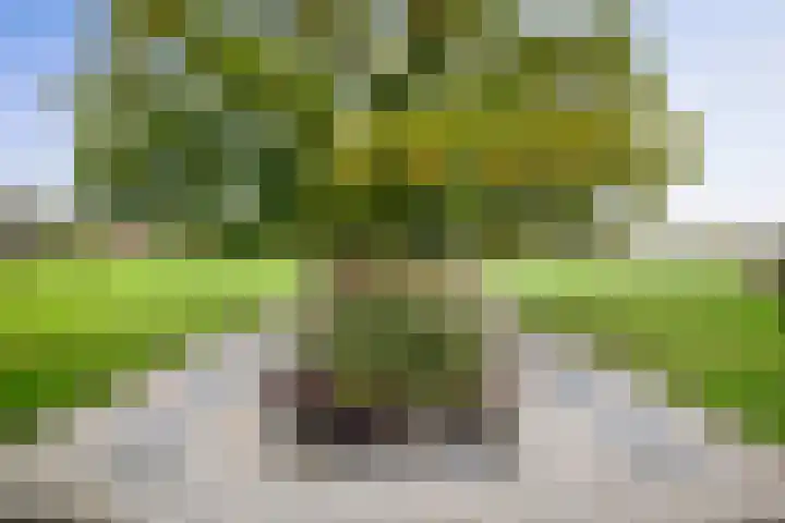 Hardermaat 12 Barchem thumbnail 70