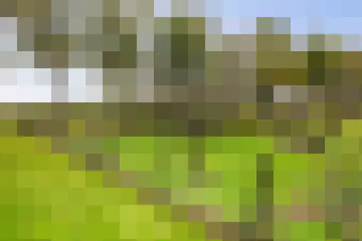 Hardermaat 12 Barchem thumbnail 71