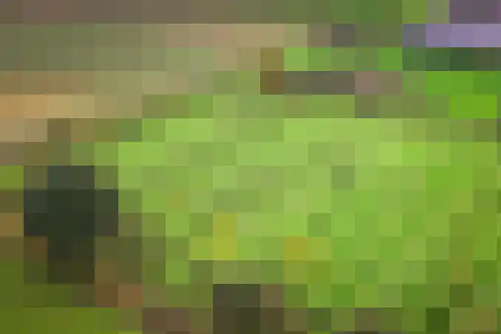 Hardermaat 12 Barchem thumbnail 72