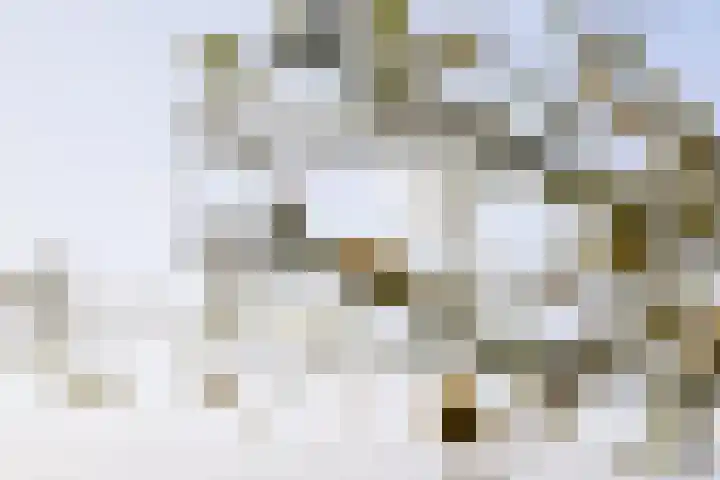 Hardermaat 12 Barchem thumbnail 73
