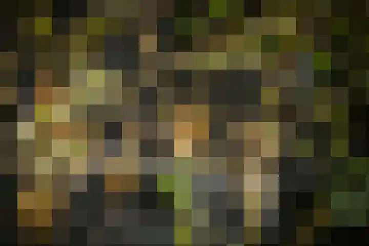 Hardermaat 12 Barchem thumbnail 74