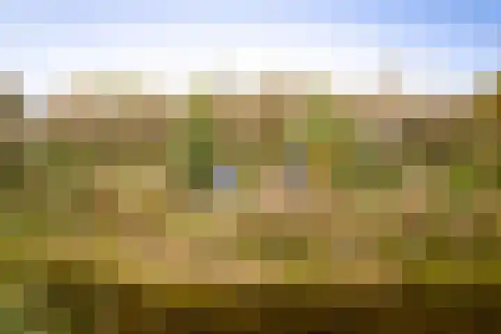 Hardermaat 12 Barchem thumbnail 75