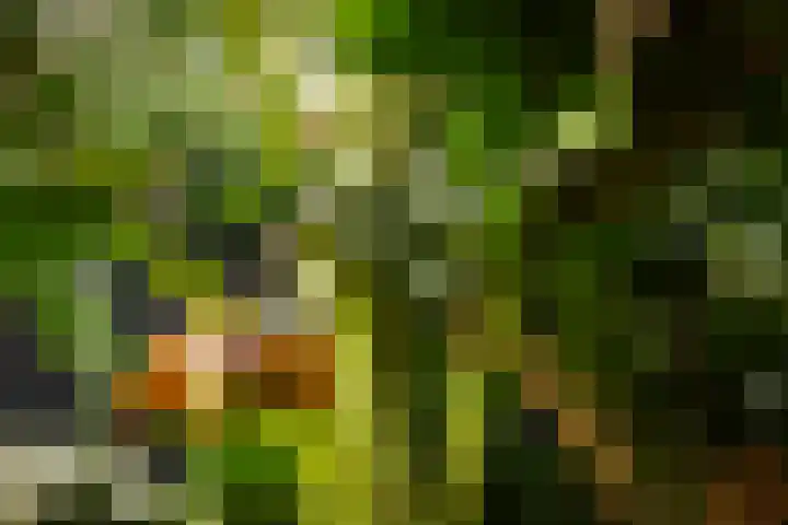 Hardermaat 12 Barchem thumbnail 76