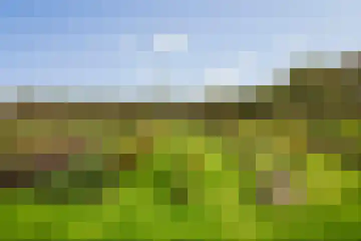 Hardermaat 12 Barchem thumbnail 77