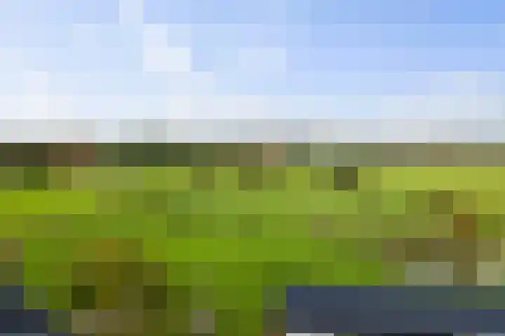 Hardermaat 12 Barchem thumbnail 78