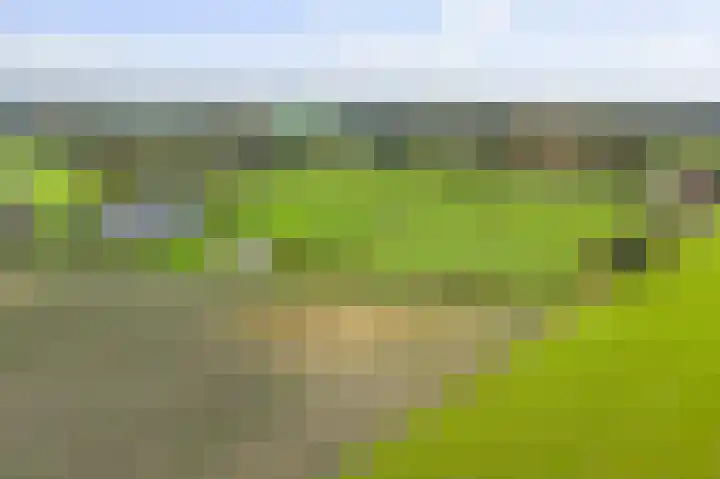 Hardermaat 12 Barchem thumbnail 79