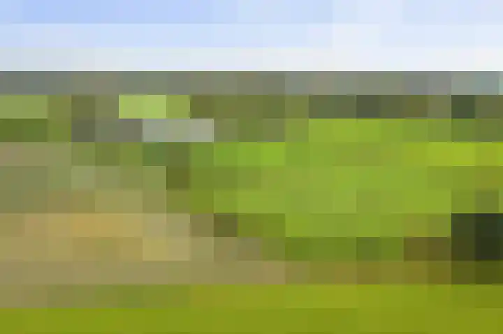 Hardermaat 12 Barchem thumbnail 80