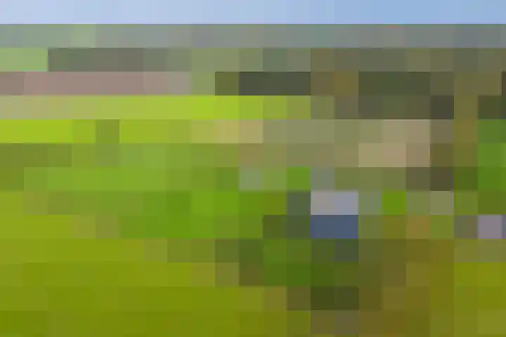 Hardermaat 12 Barchem thumbnail 81