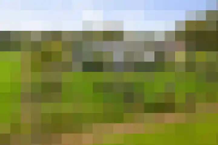 Hardermaat 12 Barchem thumbnail 82