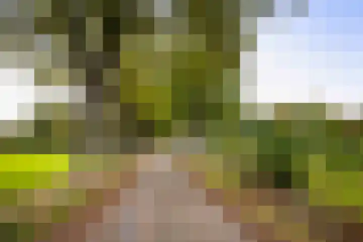 Hardermaat 12 Barchem thumbnail 83