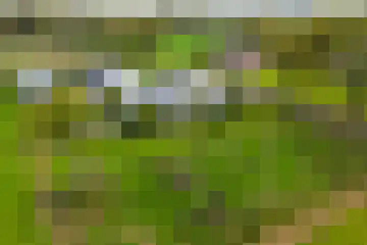 Hardermaat 12 Barchem thumbnail 9