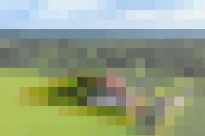 Hardermaat 2 a Barchem thumbnail 22