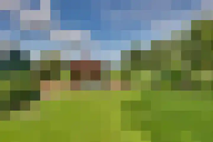 Hardermaat 2 a Barchem thumbnail 27