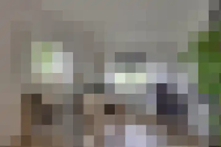 Hardermaat 2 a Barchem thumbnail 8