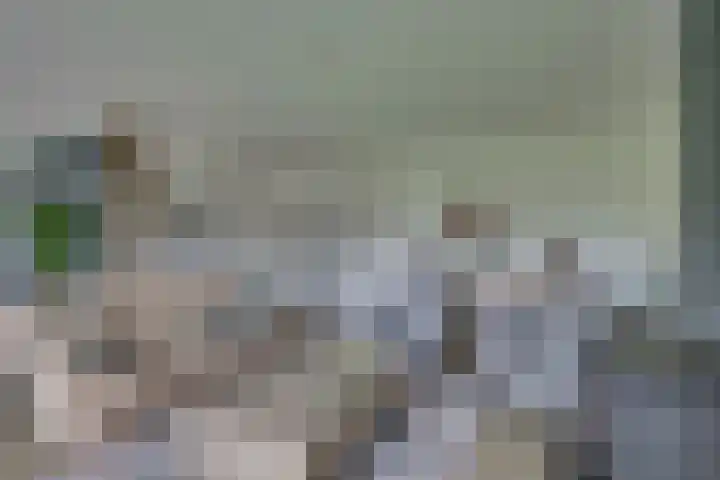 Hardermaat 2 a Barchem thumbnail 9