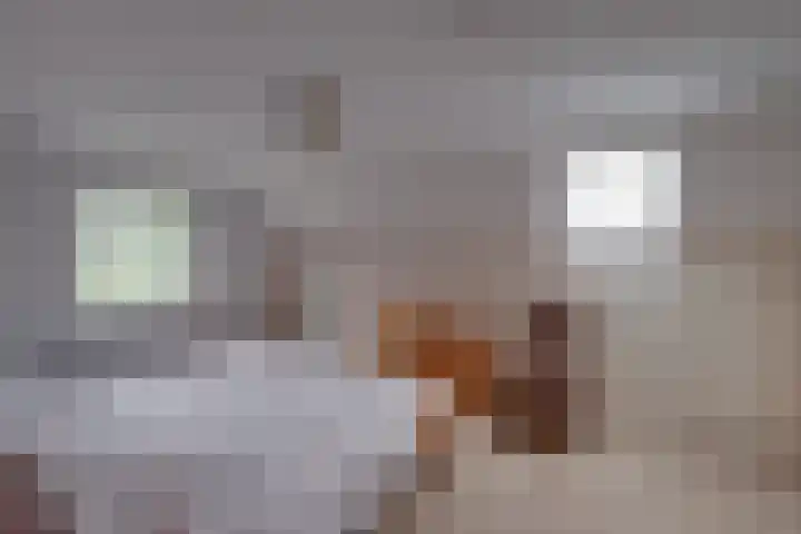 Hardermaat 2 Barchem thumbnail 17