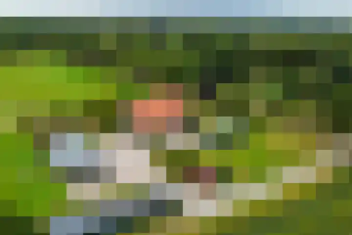 Hardermaat 2 Barchem thumbnail 19