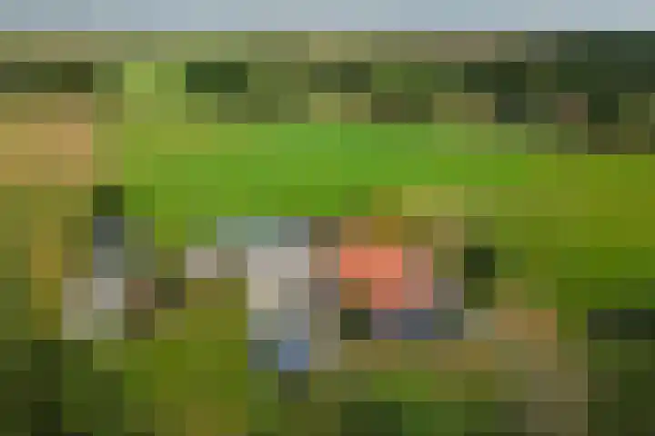 Hardermaat 2 Barchem thumbnail 20