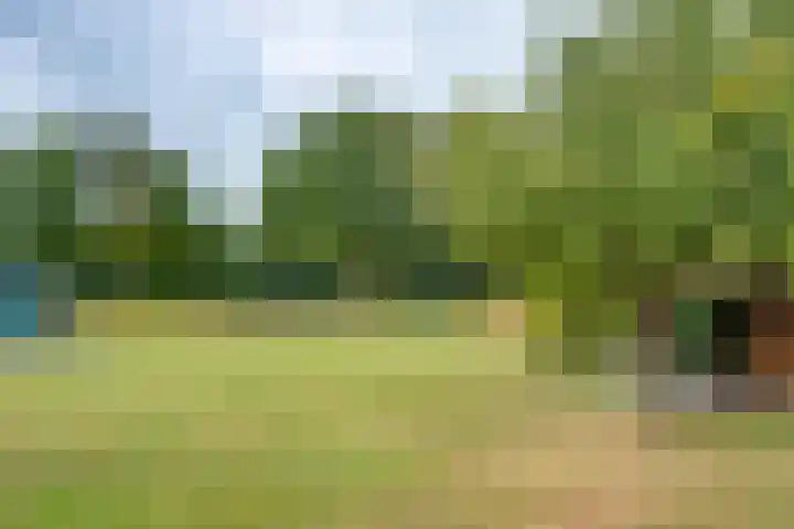 Hardermaat 2 Barchem thumbnail 24