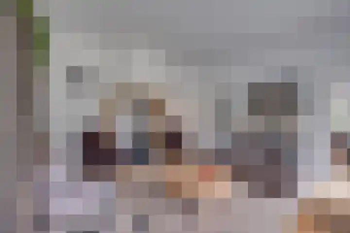 Hardermaat 2 Barchem thumbnail 6