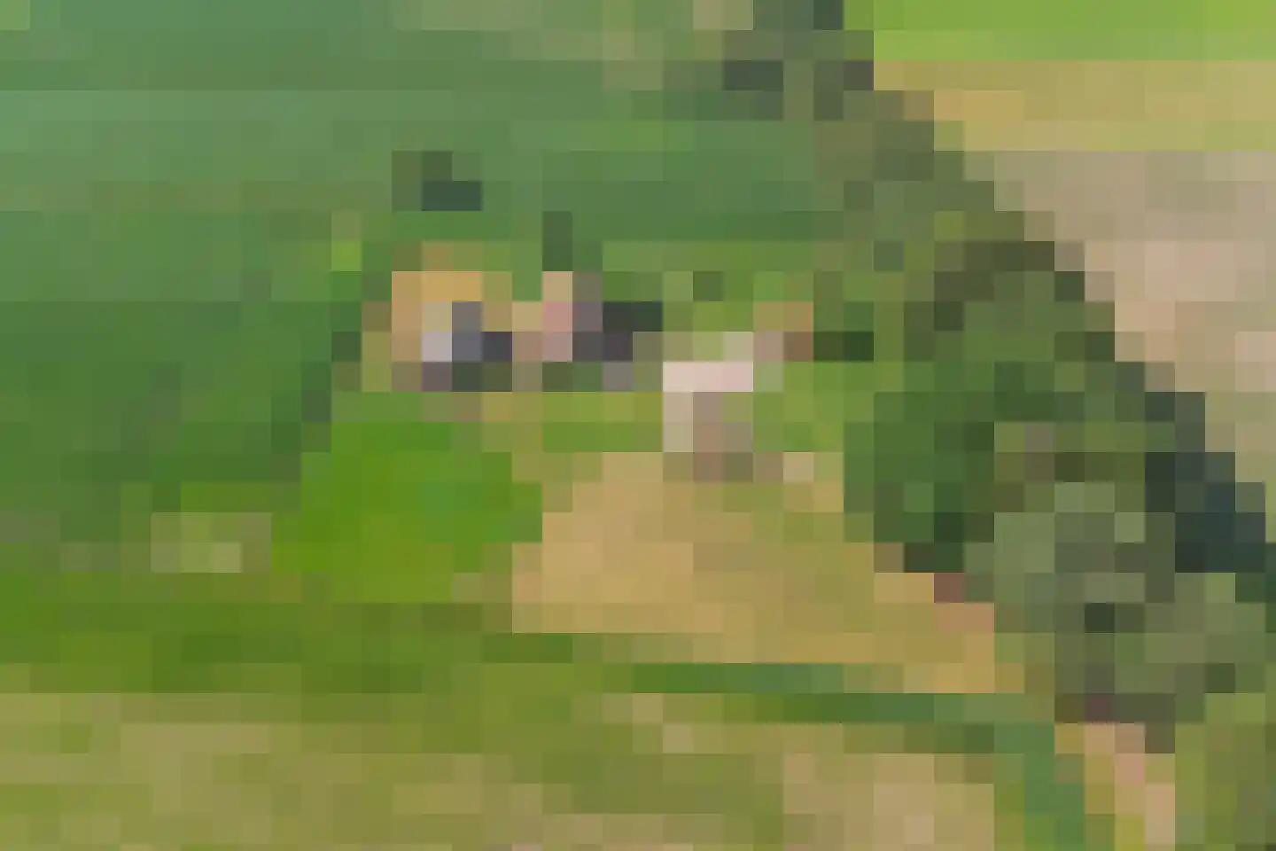 Hardermaat 3 Barchem thumbnail 25