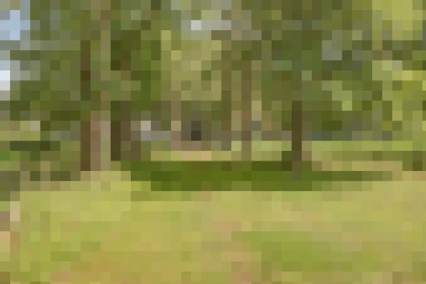 Hardermaat 3 Barchem thumbnail 26