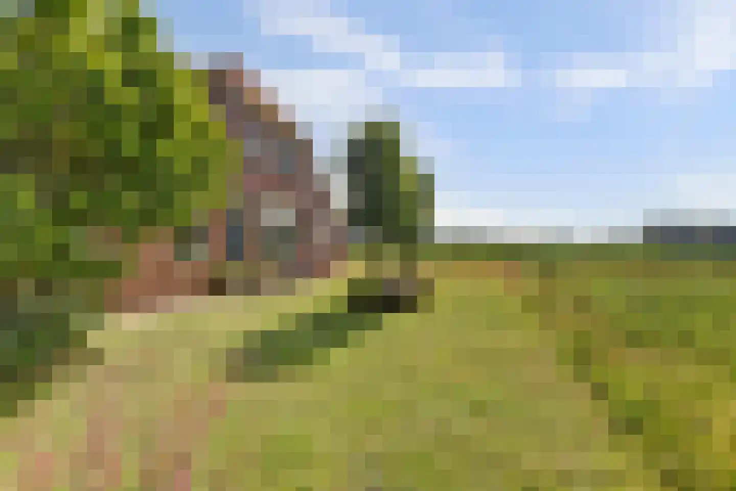 Hardermaat 3 Barchem thumbnail 30