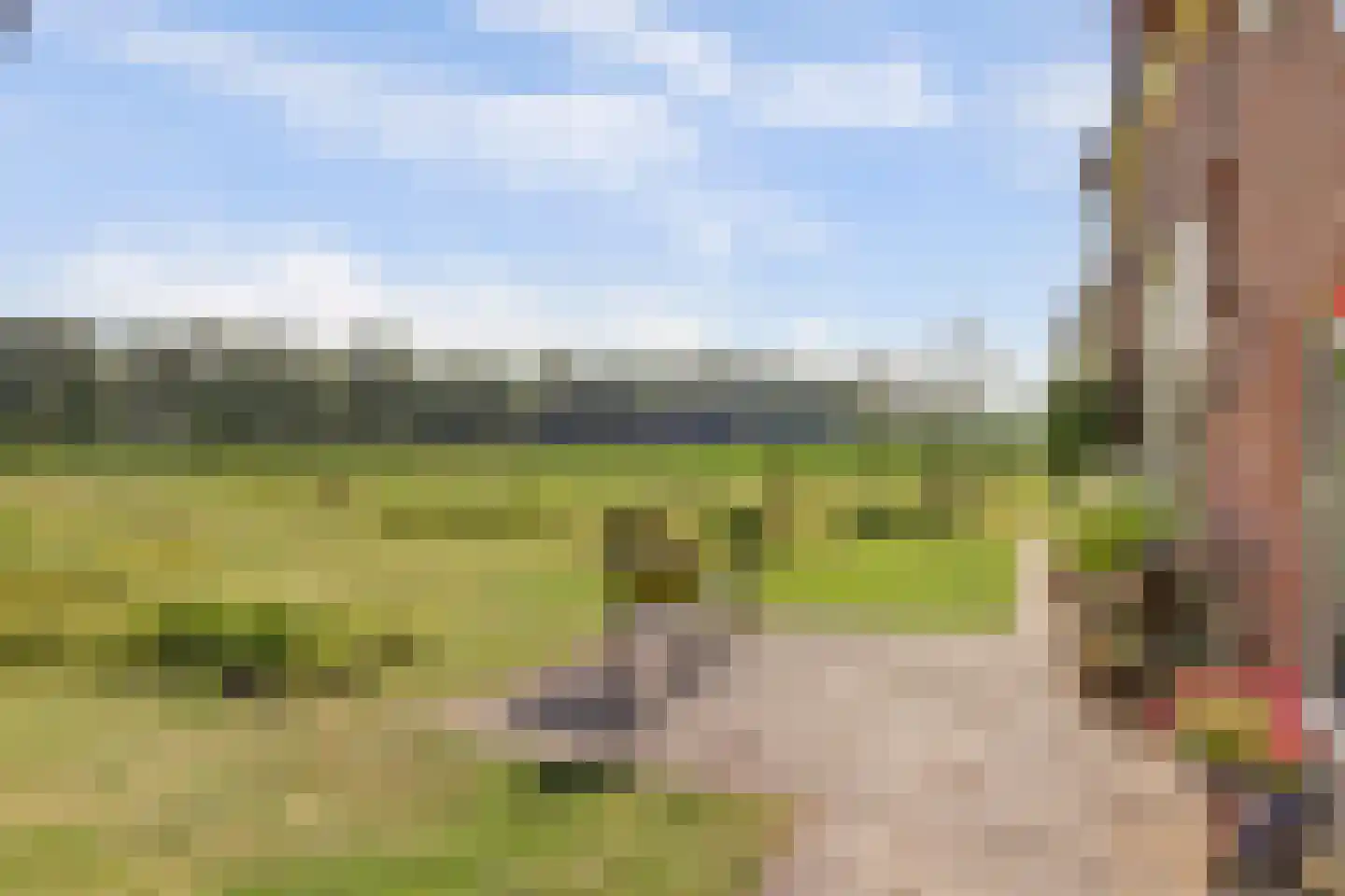 Hardermaat 3 Barchem thumbnail 31