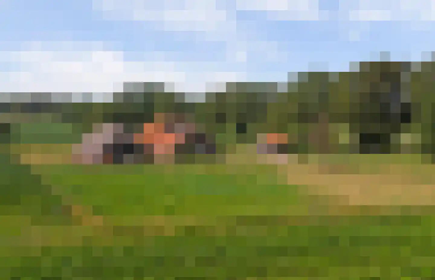 Hardermaat 3 Barchem thumbnail 33