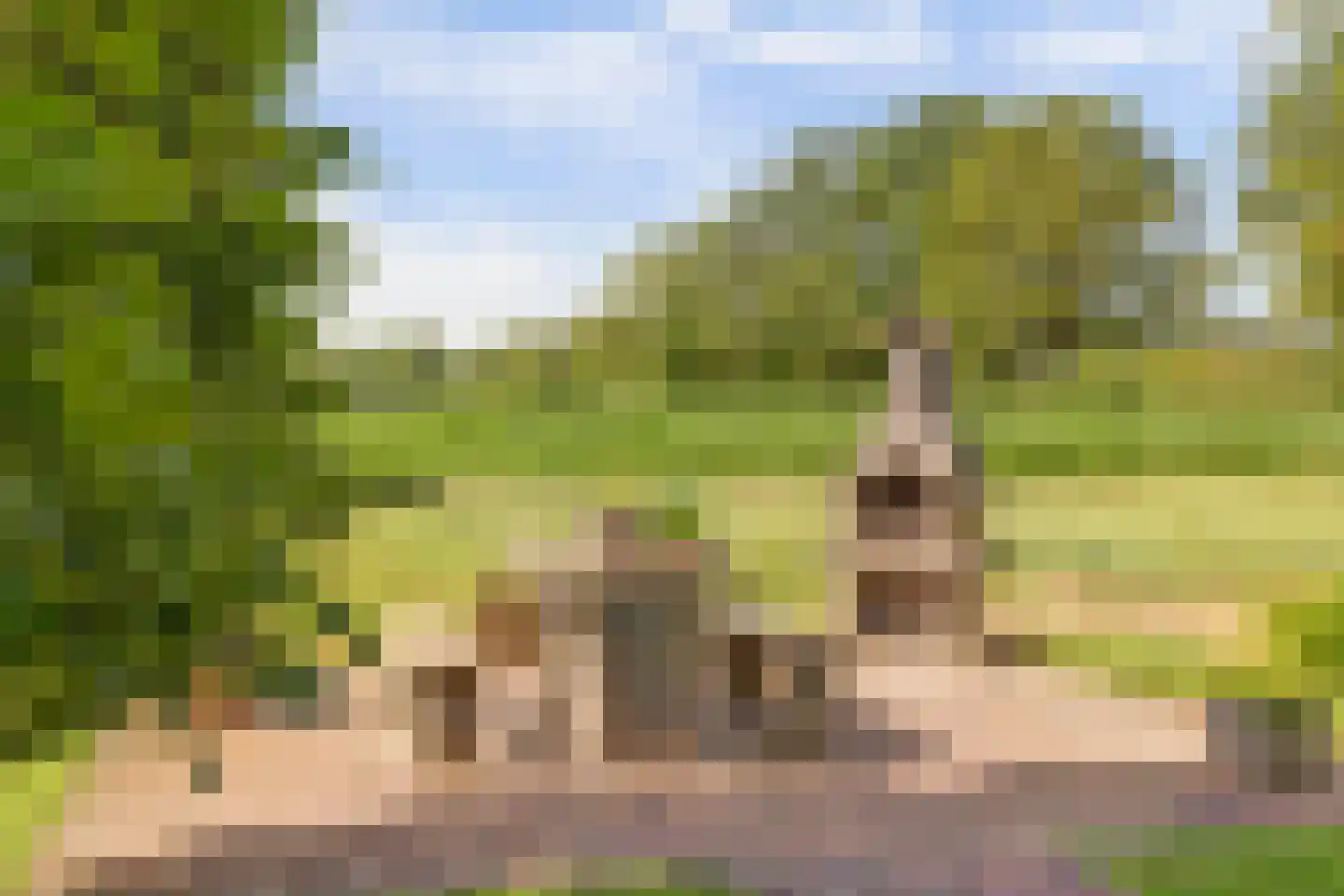 Hardermaat 3 Barchem thumbnail 4
