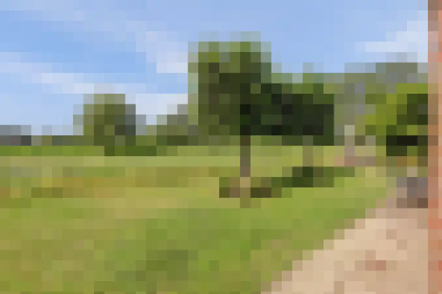 Hardermaat 3 Barchem thumbnail 5