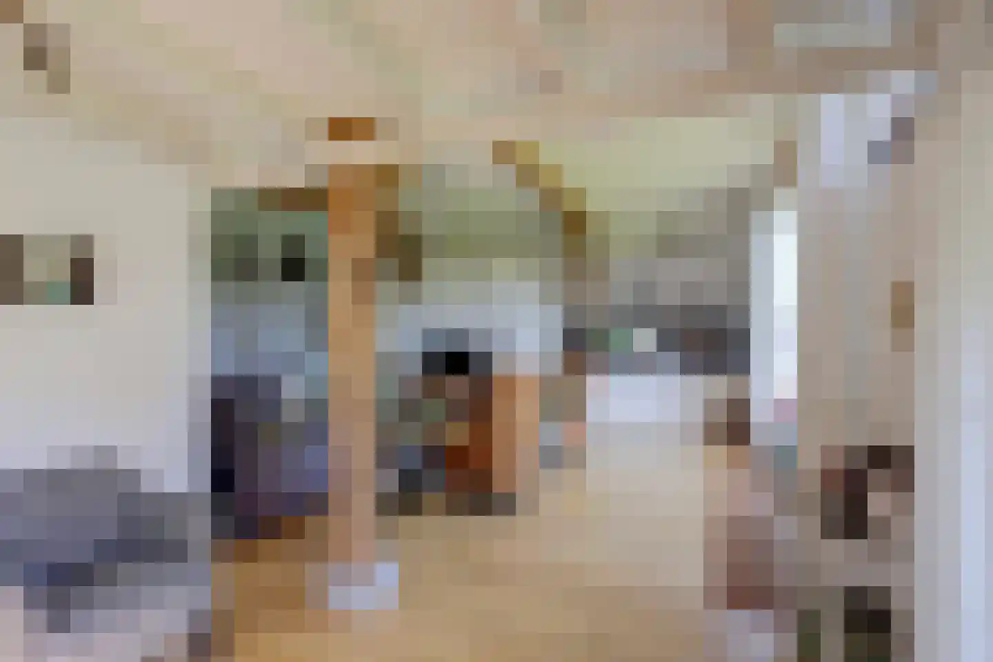 Hardermaat 3 Barchem thumbnail 8