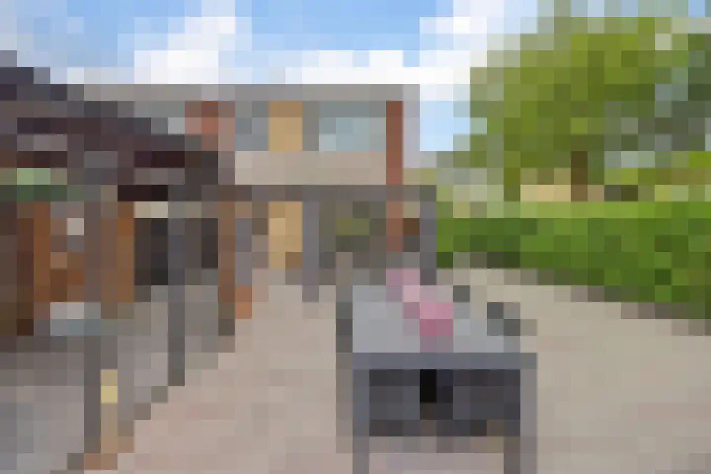 Harderpad 11 Hoogvliet Rotterdam thumbnail 26