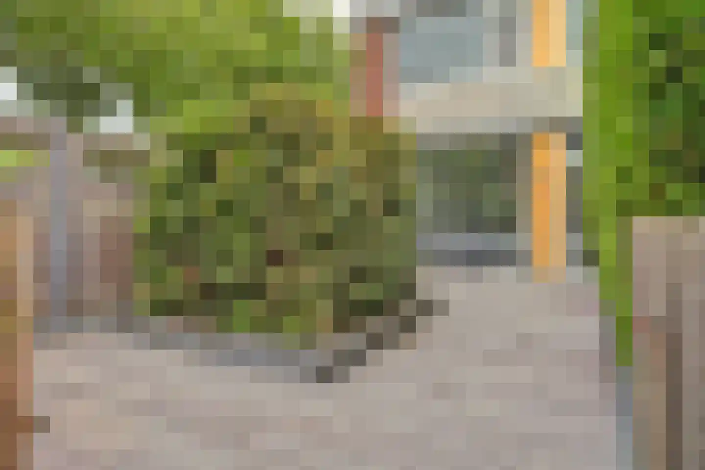 Harderpad 11 Hoogvliet Rotterdam thumbnail 33