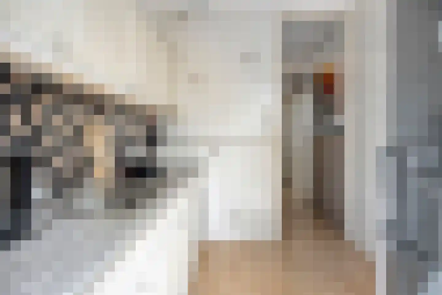 Harderpad 8 Hoogvliet Rotterdam thumbnail 17