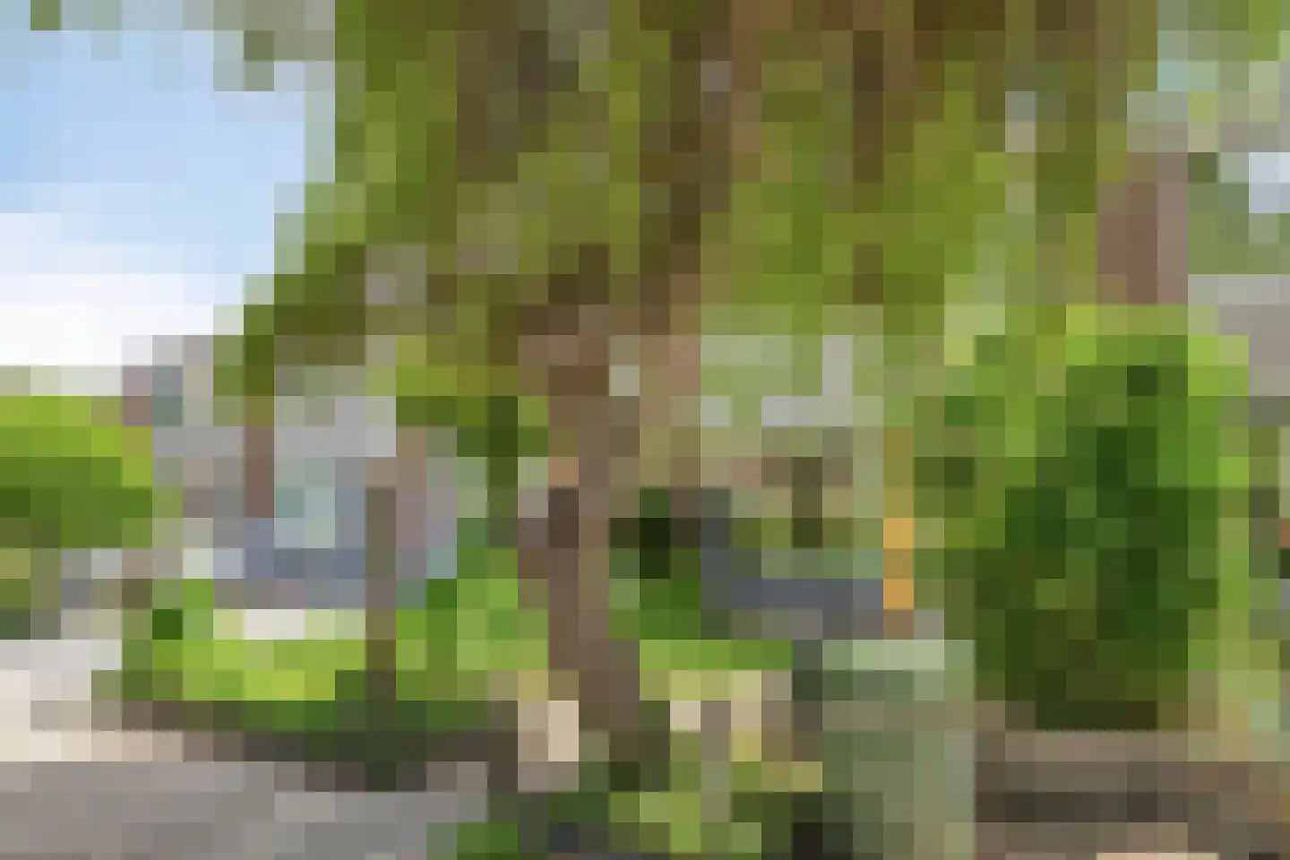 Harderpad 8 Hoogvliet Rotterdam thumbnail 35