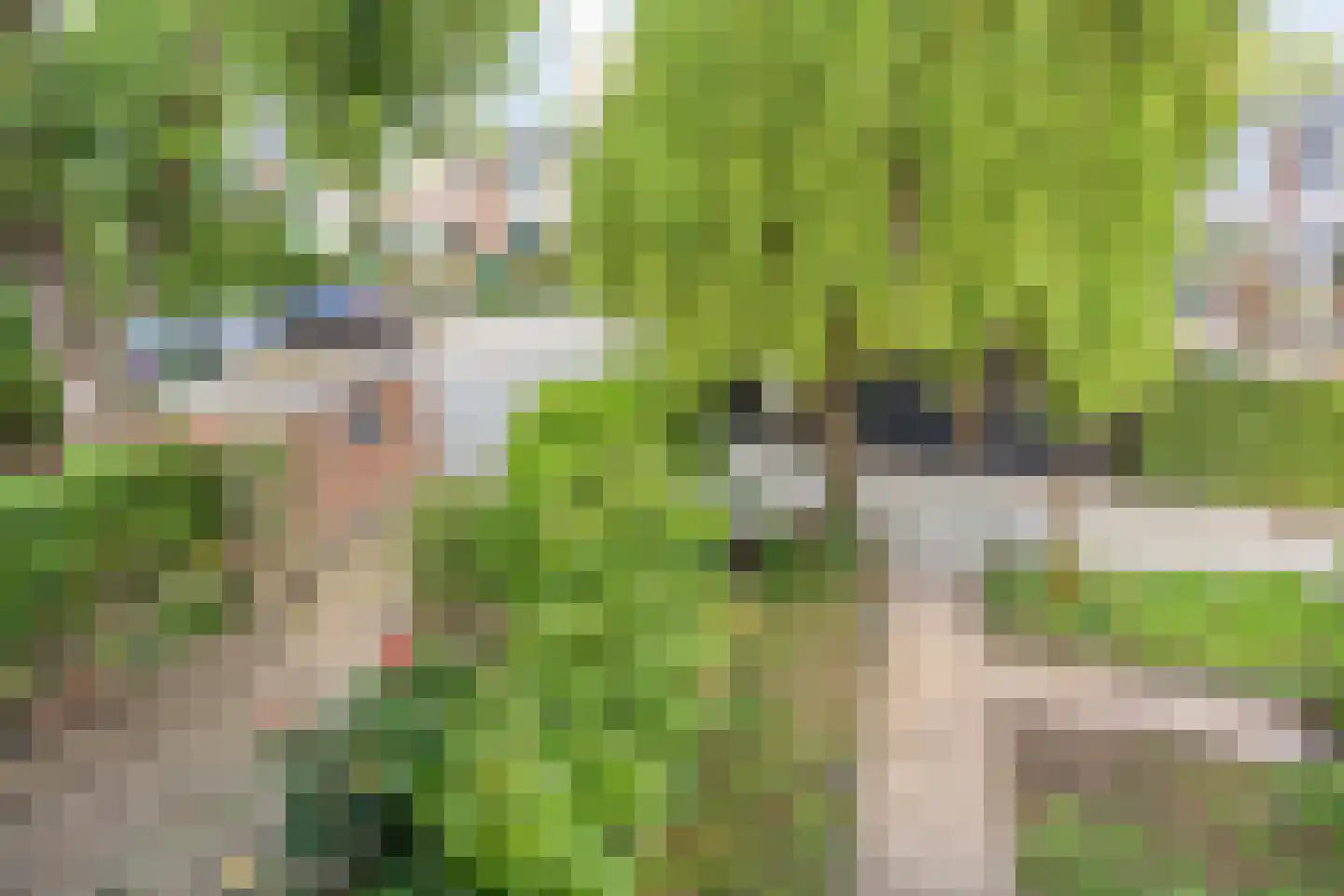 Harderpad 8 Hoogvliet Rotterdam thumbnail 36