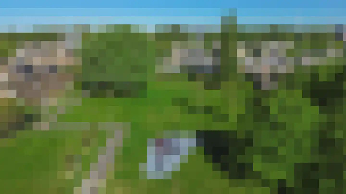 Harderpad 9 Hoogvliet Rotterdam thumbnail 39