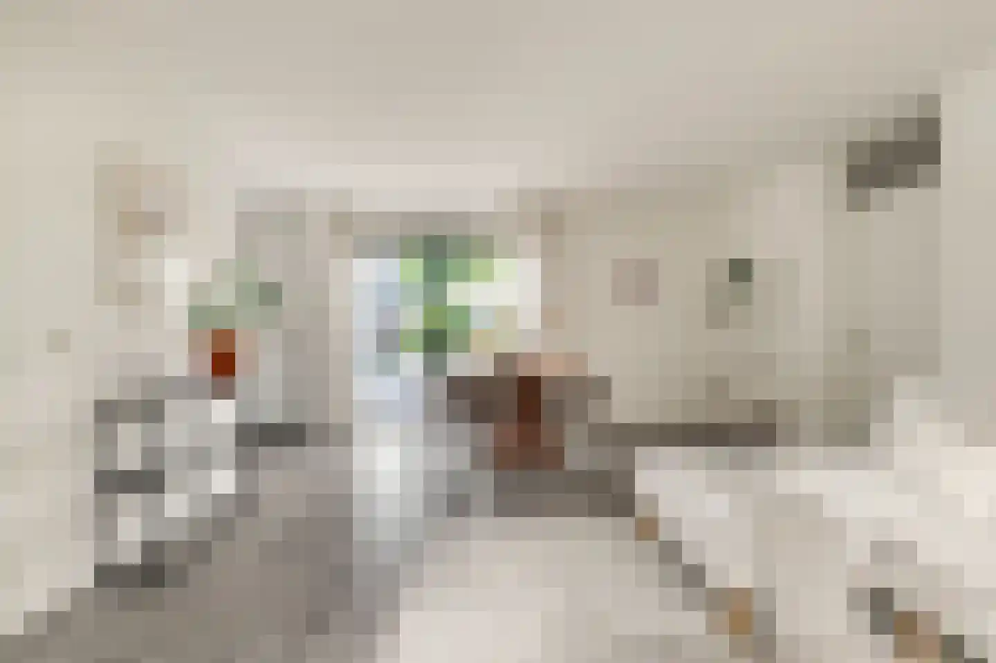 Hardersbos 1 Hoofddorp thumbnail 13